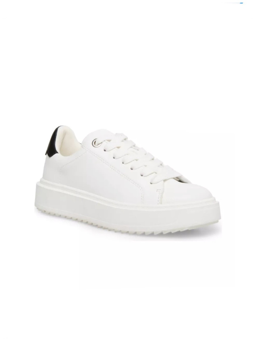 Steve Madden Charlite sneakers